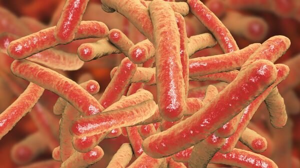 Бактерии Mycobacterium tuberculosis, возбудитель туберкулеза Бактерии Mycobacterium tuberculosis, возбудитель туберкулеза