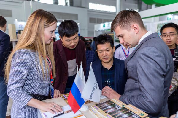 РФ представила объединенный стенд ЛПК на международной выставке в Пекине РФ представила объединенный стенд ЛПК на международной выставке в Пекине
