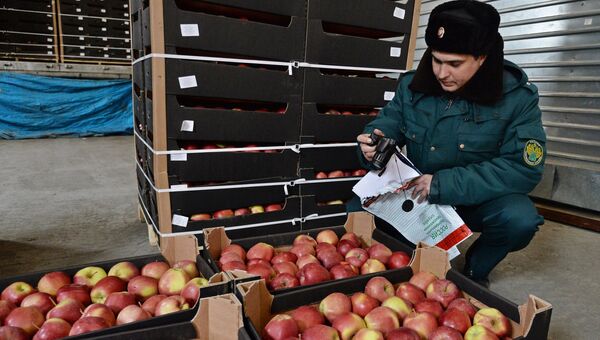Сотрудник таможенной службы РФ осуществляет осмотр груза. Архивное фото Сотрудник таможенной службы РФ осуществляет осмотр груза. Архивное фото