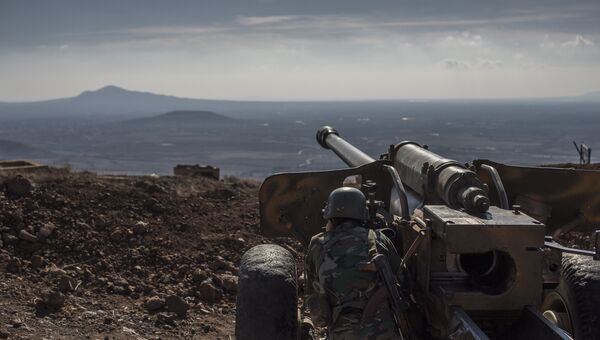 Военнослужащий Сирийской арабской армии на огневой позиции. архивное фото Военнослужащий Сирийской арабской армии на огневой позиции. архивное фото