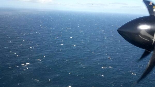 Самолет ВМС Аргентины над Атлантическим океаном в процессе поиска пропавшей подлодки Сан-Хуан. 22 ноября 2017 Самолет ВМС Аргентины над Атлантическим океаном в процессе поиска пропавшей подлодки Сан-Хуан. 22 ноября 2017