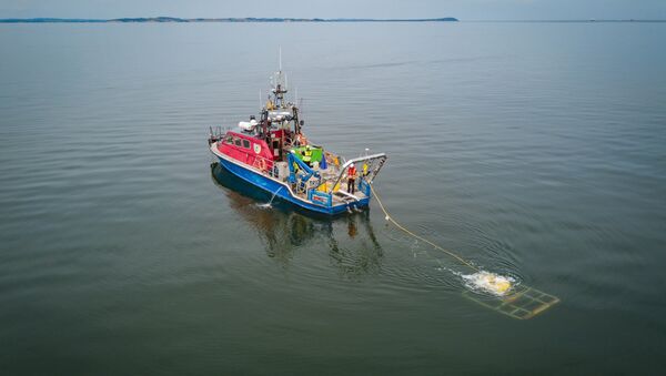 Исследование морского дна рядом с немецким Любмином. Архивное фото Исследование морского дна рядом с немецким Любмином. Архивное фото