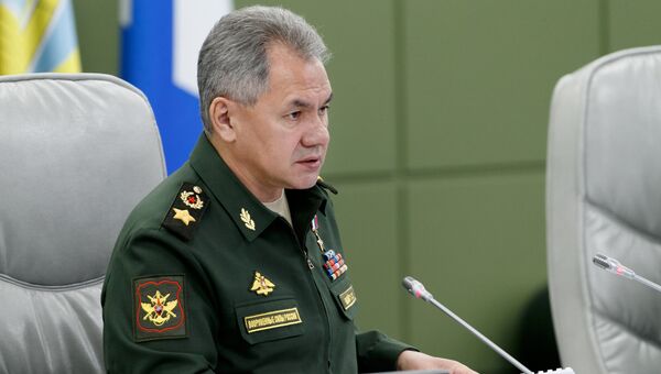 Министр обороны генерал армии Сергей Шойгу. Архивное фото Министр обороны генерал армии Сергей Шойгу. Архивное фото