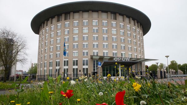 Штаб-квартира Организации по запрещению химического оружия в Гааге. Архивное фото Штаб-квартира Организации по запрещению химического оружия в Гааге. Архивное фото