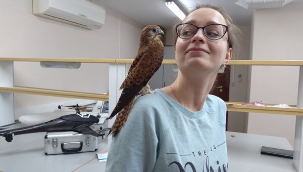 Сокол и Дарья Зимина Сокол и Дарья Зимина