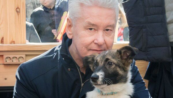 Мэр москвы Сергей Собянин и щенок Джоуи на площадке фестиваля Пасхальный дар. 13 апреля 2018 Мэр москвы Сергей Собянин и щенок Джоуи на площадке фестиваля Пасхальный дар. 13 апреля 2018