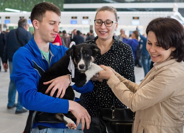 Открытие нового терминала аэровокзального комплекса в Симферополе Открытие нового терминала аэровокзального комплекса в Симферополе