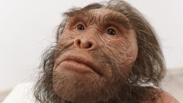 Реконструкция вида древних людей Homo naledi Реконструкция вида древних людей Homo naledi