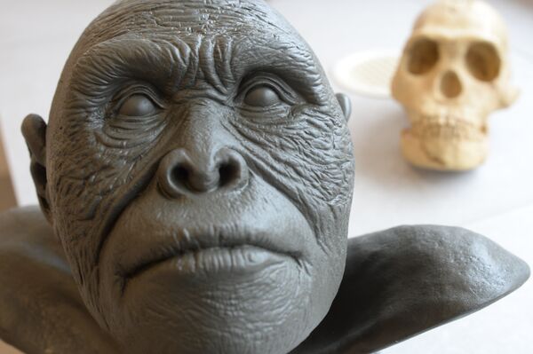 Реконструкция внешности Homo naledi Реконструкция внешности Homo naledi