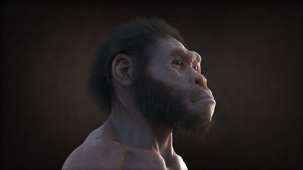Кадр из мультфильма Homo naledi: Встреча двух миров Кадр из мультфильма Homo naledi: Встреча двух миров