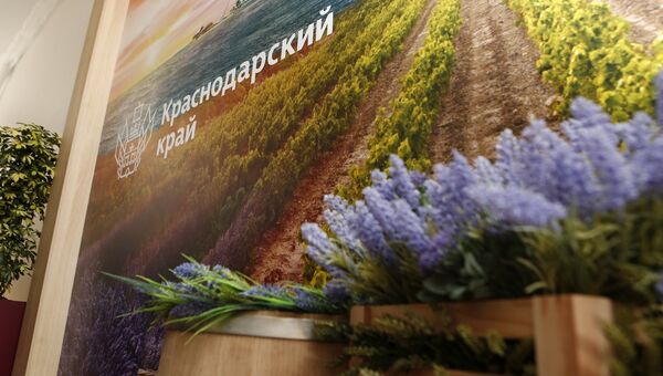 Площадка региона в этом году развернулась на 590 квадратных метрах Площадка региона в этом году развернулась на 590 квадратных метрах