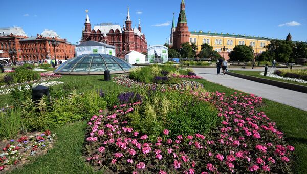 Цветник на Манежной площади. Архивное фото Цветник на Манежной площади. Архивное фото