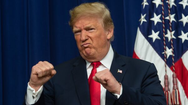 Президент США Дональд Трамп. Архивное фото Президент США Дональд Трамп. Архивное фото