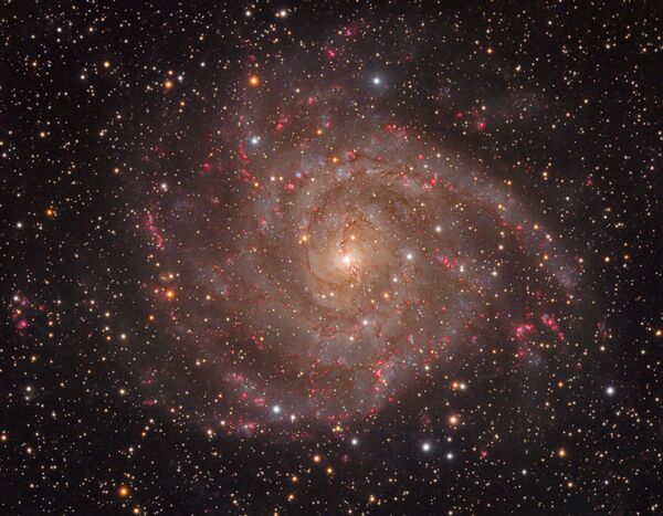 Работа фотографов Tom O'Donoghue, Olly Penrice The Hidden Galaxy, вошедшая в шорт-лист Insight Astronomy Photographer of the Year 2018 Работа фотографов Tom O'Donoghue, Olly Penrice The Hidden Galaxy, вошедшая в шорт-лист Insight Astronomy Photographer of the Year 2018