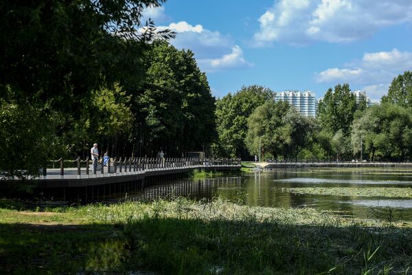 Благоустройство в парке Усадьба Михалково Благоустройство в парке Усадьба Михалково