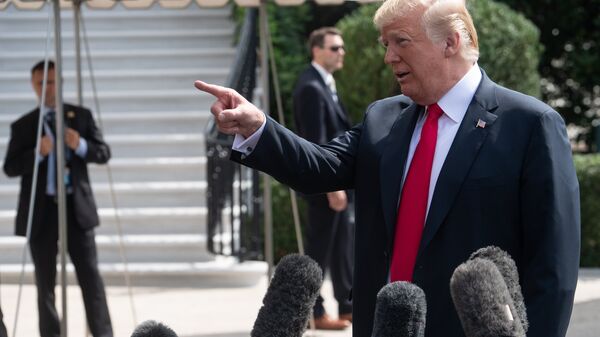 Президент США Дональд Трамп отвечает на вопросы прессы в Вашингтоне. 17 августа 2018 Президент США Дональд Трамп отвечает на вопросы прессы в Вашингтоне. 17 августа 2018
