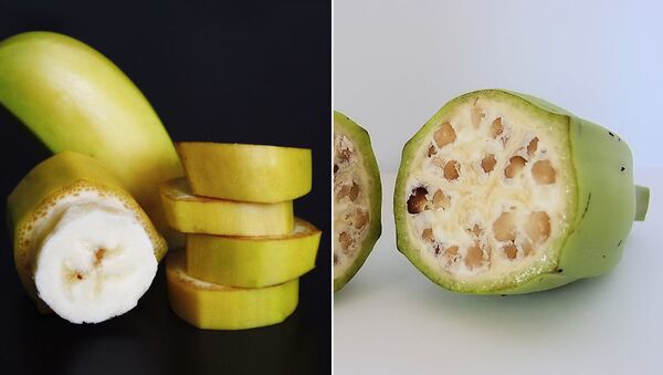 Дикие и культурные бананы Дикие и культурные бананы