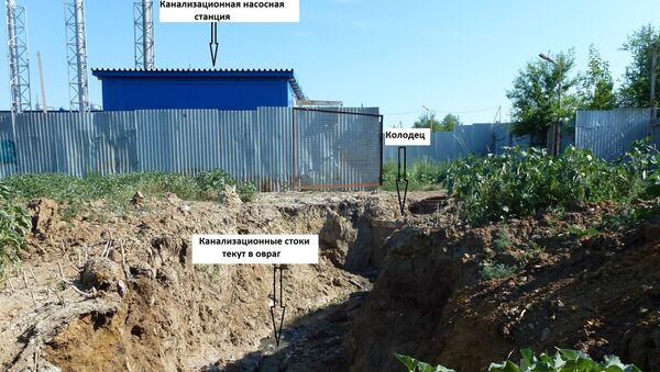 Овраг, куда стекают канализационные стоки Овраг, куда стекают канализационные стоки