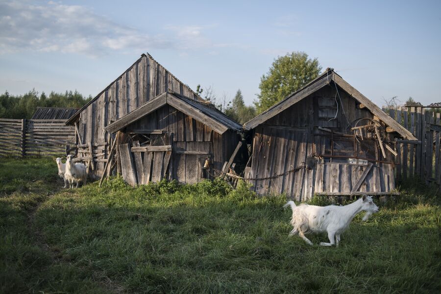 Село Кукуй. Макарьевский район, Костромская область Село Кукуй. Макарьевский район, Костромская область