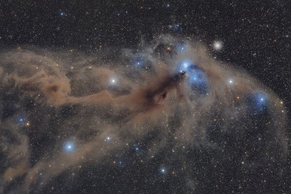Работа фотографа Mario Cogo Corona Australis Dust Complex. Конкурс Insight Astronomy Photographer of the year 2018 Работа фотографа Mario Cogo Corona Australis Dust Complex. Конкурс Insight Astronomy Photographer of the year 2018