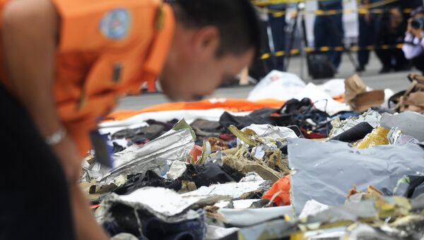 Предметы с места крушения пассажирского самолета Boeing 737 авиакомпании Lion Air у западного побережья острова Ява Предметы с места крушения пассажирского самолета Boeing 737 авиакомпании Lion Air у западного побережья острова Ява