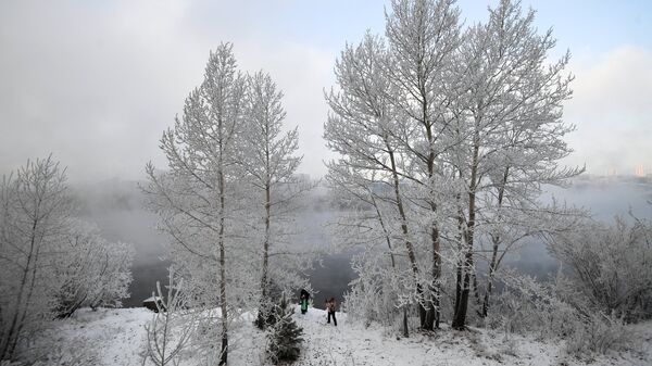 В Красноярском крае ожидаются морозы до минус 55 градусов 