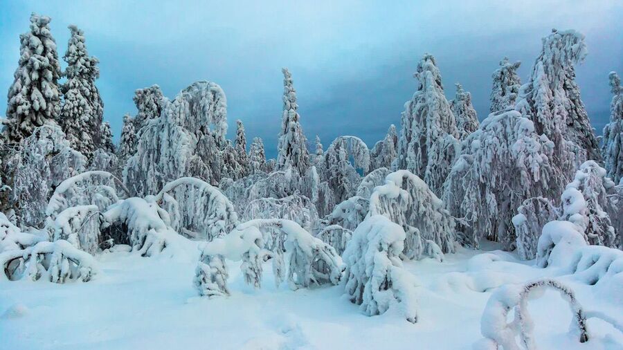 Каменный город Каменный город