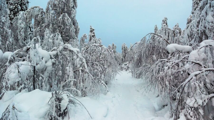Каменный город Каменный город
