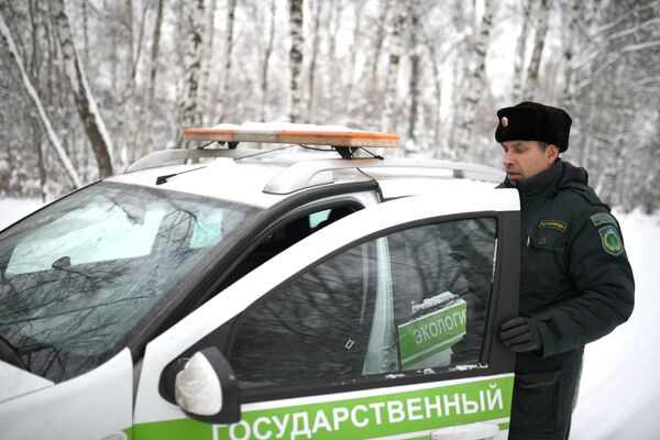 Рейд по незаконной вырубке елок в парке Кузьминки Рейд по незаконной вырубке елок в парке Кузьминки