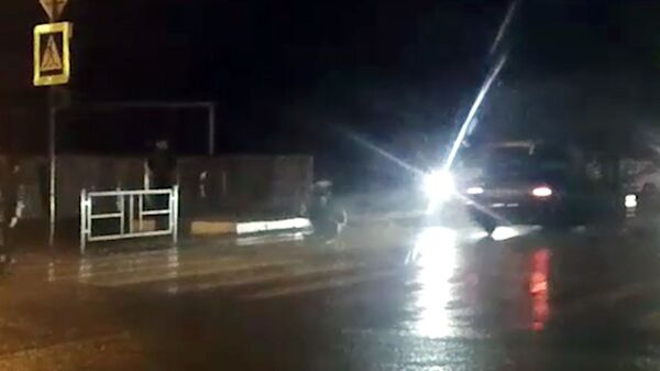 Скриншот видео с места ДТП на Кубани Скриншот видео с места ДТП на Кубани