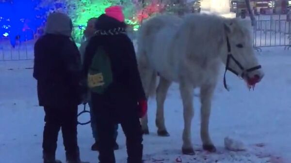 Скриншот с видео Станислава Андреева. Скриншот с видео Станислава Андреева.