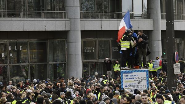 Участники протестной акции жёлтых жилетов в Париже. 12 января 2019 Участники протестной акции жёлтых жилетов в Париже. 12 января 2019