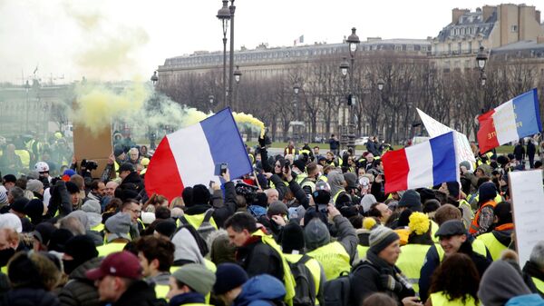 Участники протестной акции жёлтых жилетов в Париже. 19 января 2019 Участники протестной акции жёлтых жилетов в Париже. 19 января 2019