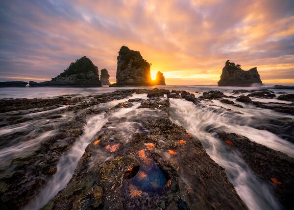Работа победителя конкурса 2018 Photographer of the year by Panasonic Работа победителя конкурса 2018 Photographer of the year by Panasonic