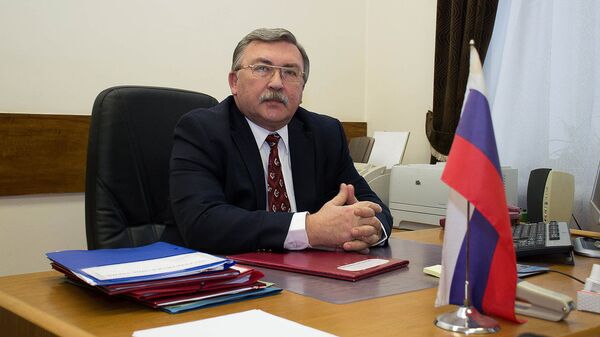 Постоянный представитель Российской Федерации при международных организациях в Вене Михаил Ульянов Постоянный представитель Российской Федерации при международных организациях в Вене Михаил Ульянов