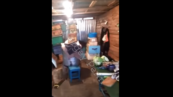 Автор видео о Цеповязе выложил вторую серию о его усадьбе в колонии Автор видео о Цеповязе выложил вторую серию о его усадьбе в колонии
