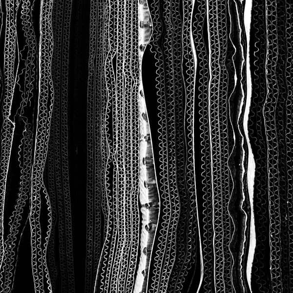Работа фотографа Glenn Homann, занявшая первое место в категории Still Life в фотоконкурсе Mobile Photography Awards Работа фотографа Glenn Homann, занявшая первое место в категории Still Life в фотоконкурсе Mobile Photography Awards