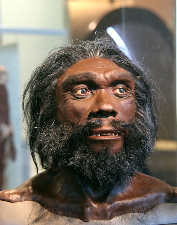 Реконструкция гейдельбергского человека (Homo heidelbergensis) Реконструкция гейдельбергского человека (Homo heidelbergensis)
