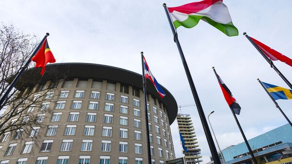 Постпред при ОЗХО прокомментировал ошибку в докладе по Навальному