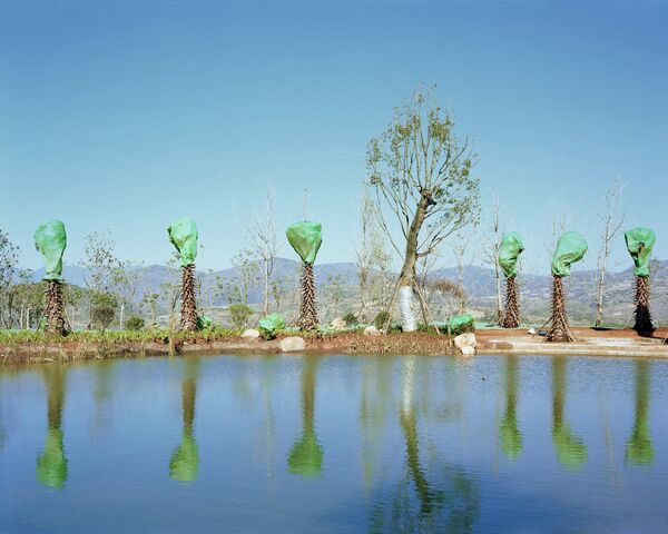 Работа фотографа Yan Wang Preston. Sony World Photography Awards Работа фотографа Yan Wang Preston. Sony World Photography Awards