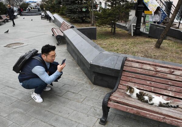 Турист фотографирует кошку на улице Адмирала Фокина во Владивостоке Турист фотографирует кошку на улице Адмирала Фокина во Владивостоке