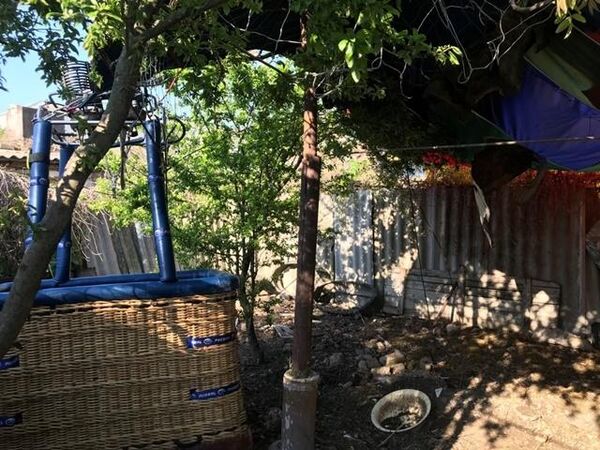 Место происшествия с воздушным шаром в городе Феодосия на улице Дружбы Место происшествия с воздушным шаром в городе Феодосия на улице Дружбы