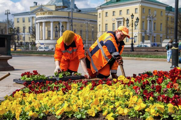 Цветники в Москве Цветники в Москве