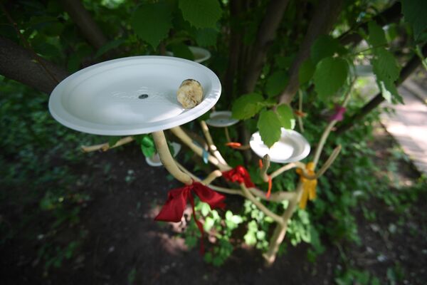 Кормушка для бабочек Кормушка для бабочек