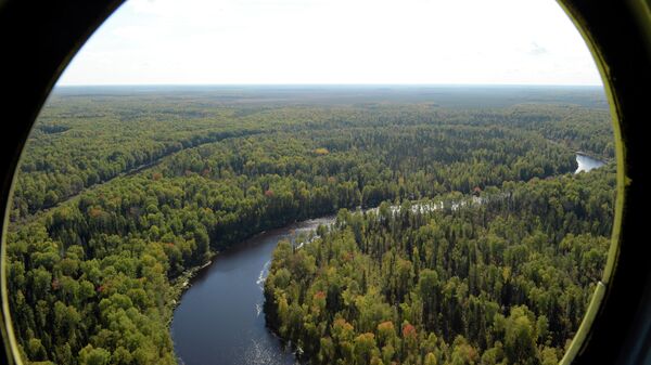 Вид с вертолета на Тюменскую область Вид с вертолета на Тюменскую область