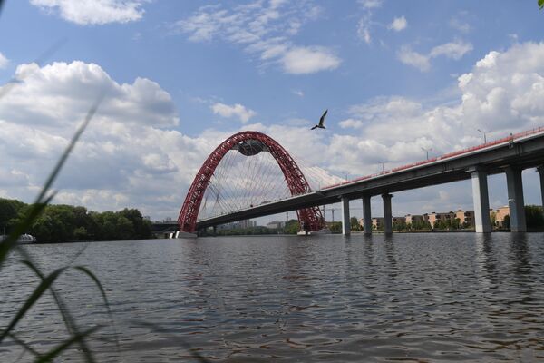 Москва-река и Живописный мост у станции Жуково-2 Москва-река и Живописный мост у станции Жуково-2