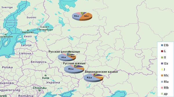 Распределение гапрогрупп среди русских популяций Распределение гапрогрупп среди русских популяций