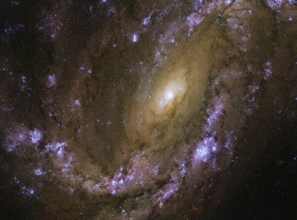 Спиральная галактика NGC 4051 снятая телескопом Хаббл Спиральная галактика NGC 4051 снятая телескопом Хаббл