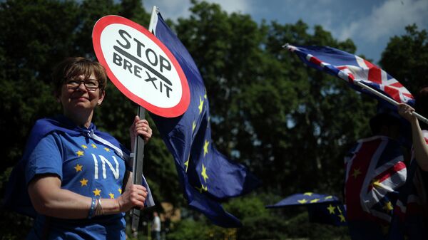 Противники Brexit у здания Парламента в Лондоне. 26 июня 2019 Противники Brexit у здания Парламента в Лондоне. 26 июня 2019
