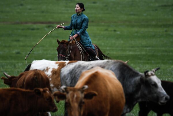 Монгольская женщина-пастух